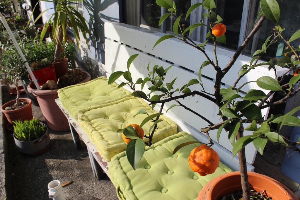 Ferienwohnung Nina Bildstein Exterior foto